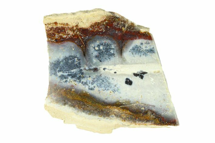 Polished Colorful Agate with Native Copper - Java, Indonesia #293387